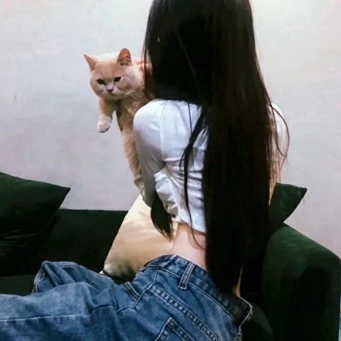 腊肠狗